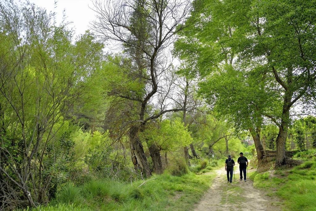 אלצ'ה דה לה סיירה Casa Rural La Tahona חדר תמונה